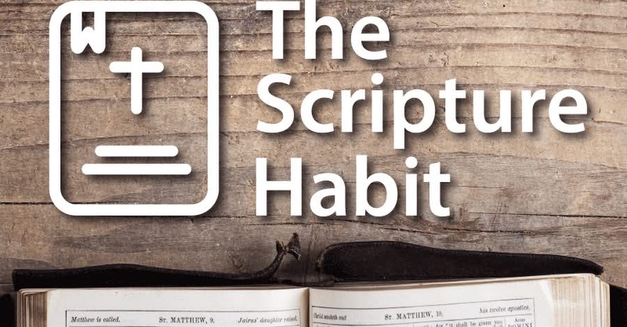 Read more about the article The Scripture Habit (live weekly video Bible study)